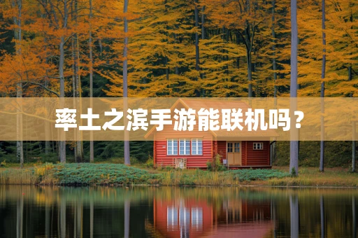 率土之滨手游能联机吗？