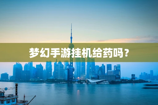 梦幻手游挂机给药吗？