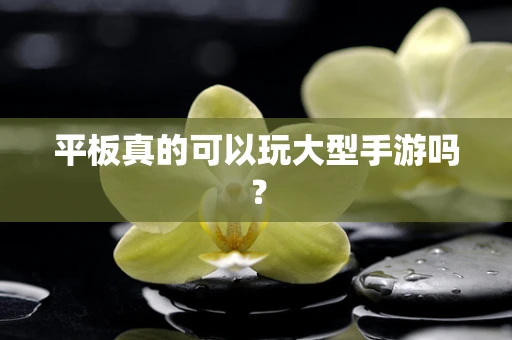 平板真的可以玩大型手游吗？