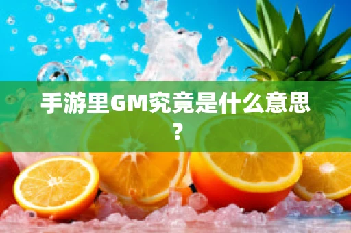 手游里GM究竟是什么意思？