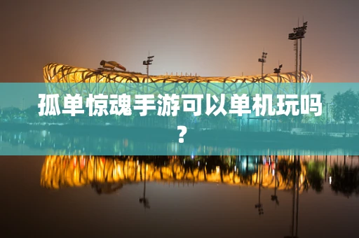孤单惊魂手游可以单机玩吗？