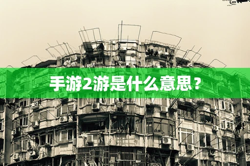 手游2游是什么意思？