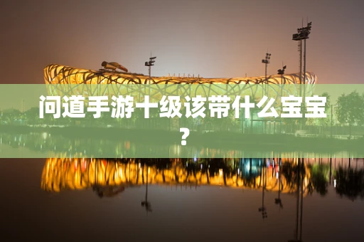 问道手游十级该带什么宝宝？