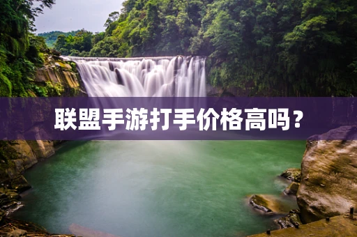 联盟手游打手价格高吗？
