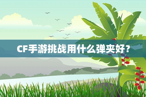 CF手游挑战用什么弹夹好？