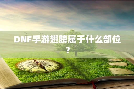 DNF手游翅膀属于什么部位？