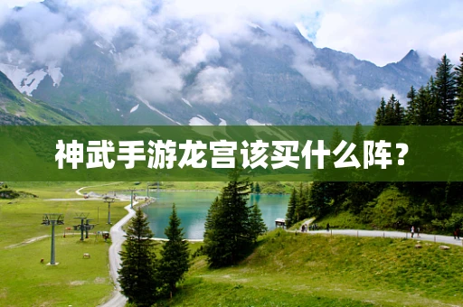 神武手游龙宫该买什么阵？