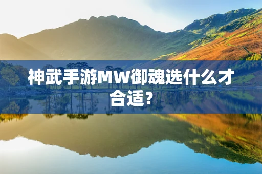 神武手游MW御魂选什么才合适？