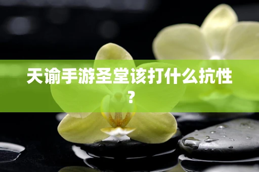 天谕手游圣堂该打什么抗性？