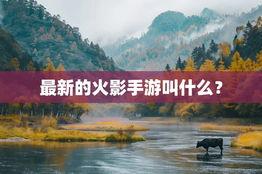 最新的火影手游叫什么？