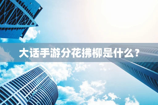 大话手游分花拂柳是什么？