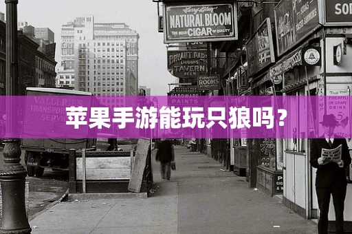 苹果手游能玩只狼吗？