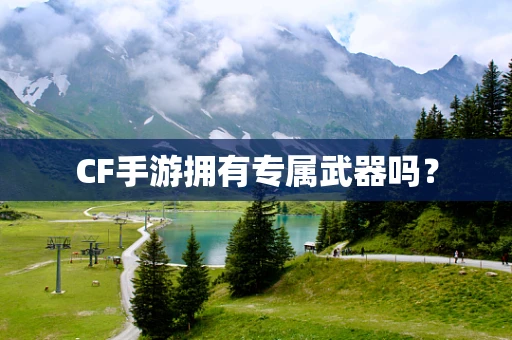 CF手游拥有专属武器吗？