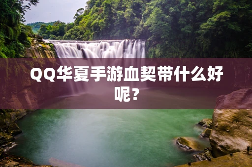 QQ华夏手游血契带什么好呢？