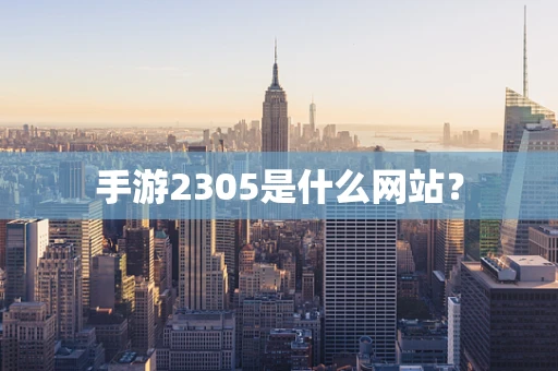 手游2305是什么网站？