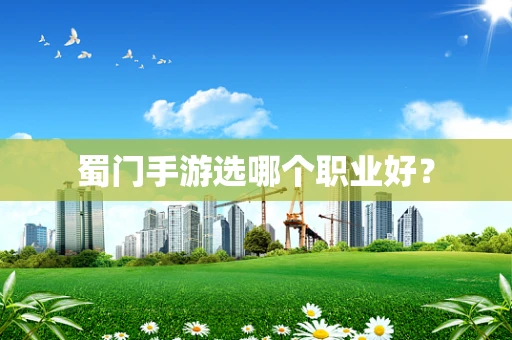 蜀门手游选哪个职业好？