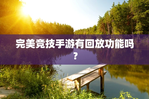 完美竞技手游有回放功能吗？