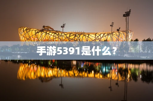 手游5391是什么？
