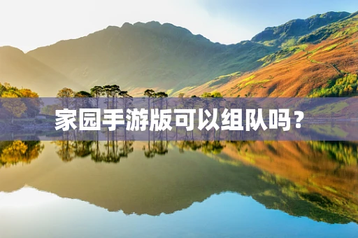 家园手游版可以组队吗？