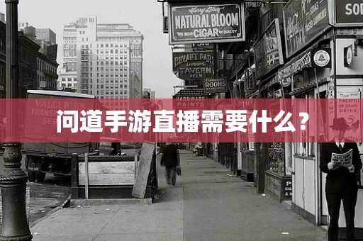 问道手游直播需要什么？