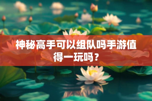 神秘高手可以组队吗手游值得一玩吗？