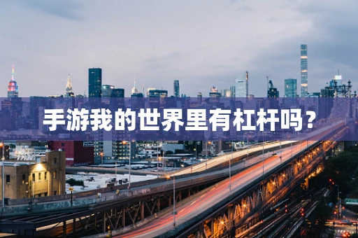 手游我的世界里有杠杆吗？