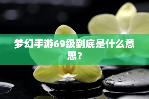 梦幻手游69级到底是什么意思？