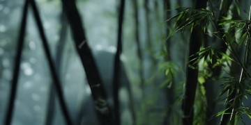 逆水寒手游中柳茵茵到底要什么？